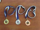 מדליות 